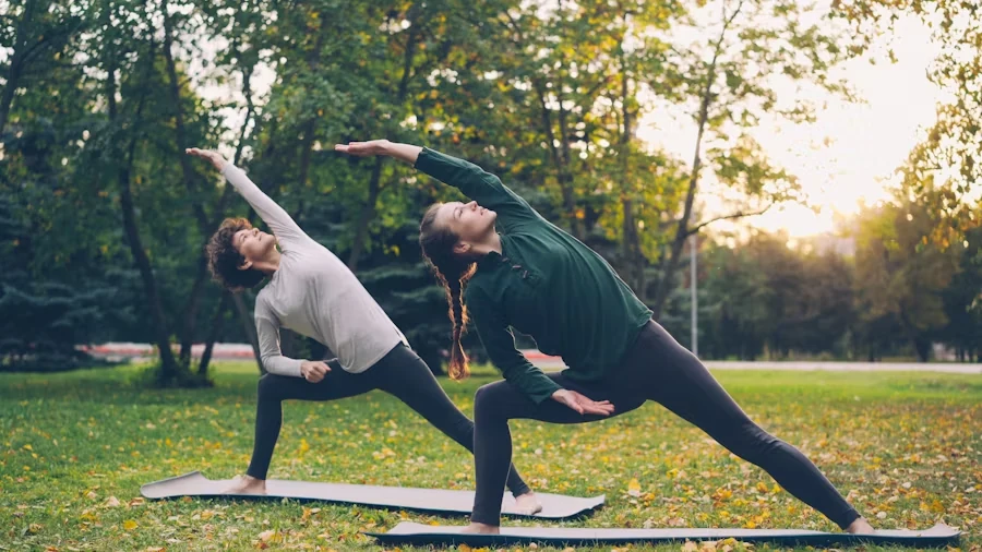 Next What? Begin Your Yoga Journey